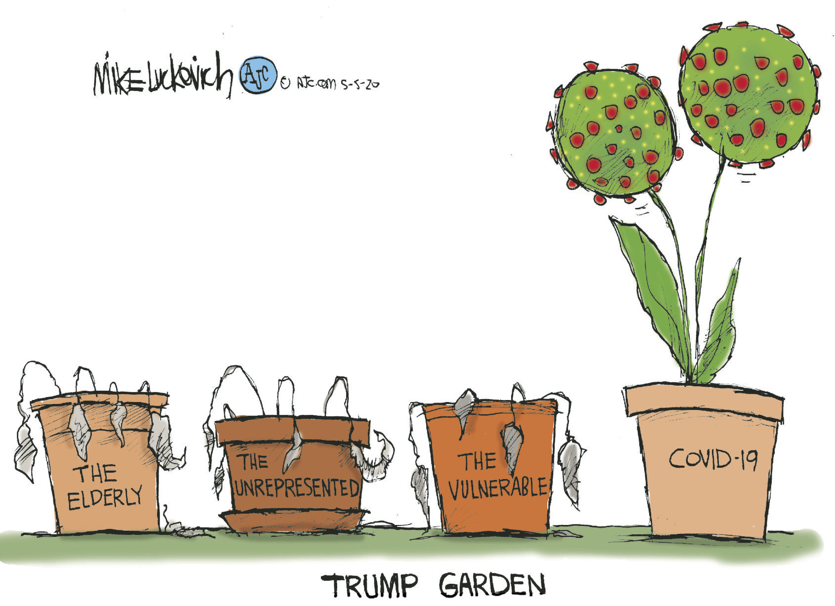 Wednesday cartoon